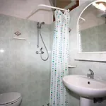 In 24558 ביביונה