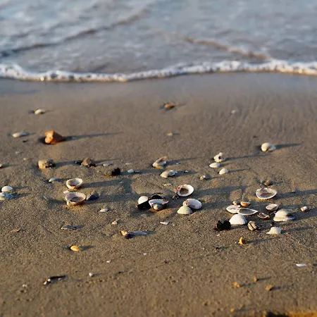 In 24558 Apartamento *